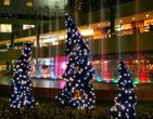 Christmas Wallpapers 200